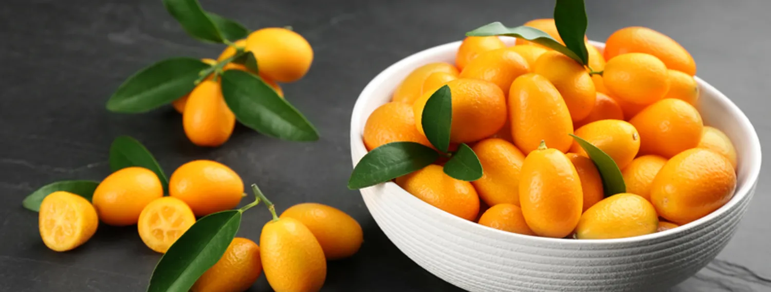 Feldsalat mit Kumquats und Rote Beete cover image